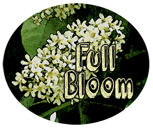 Full Bloom PD